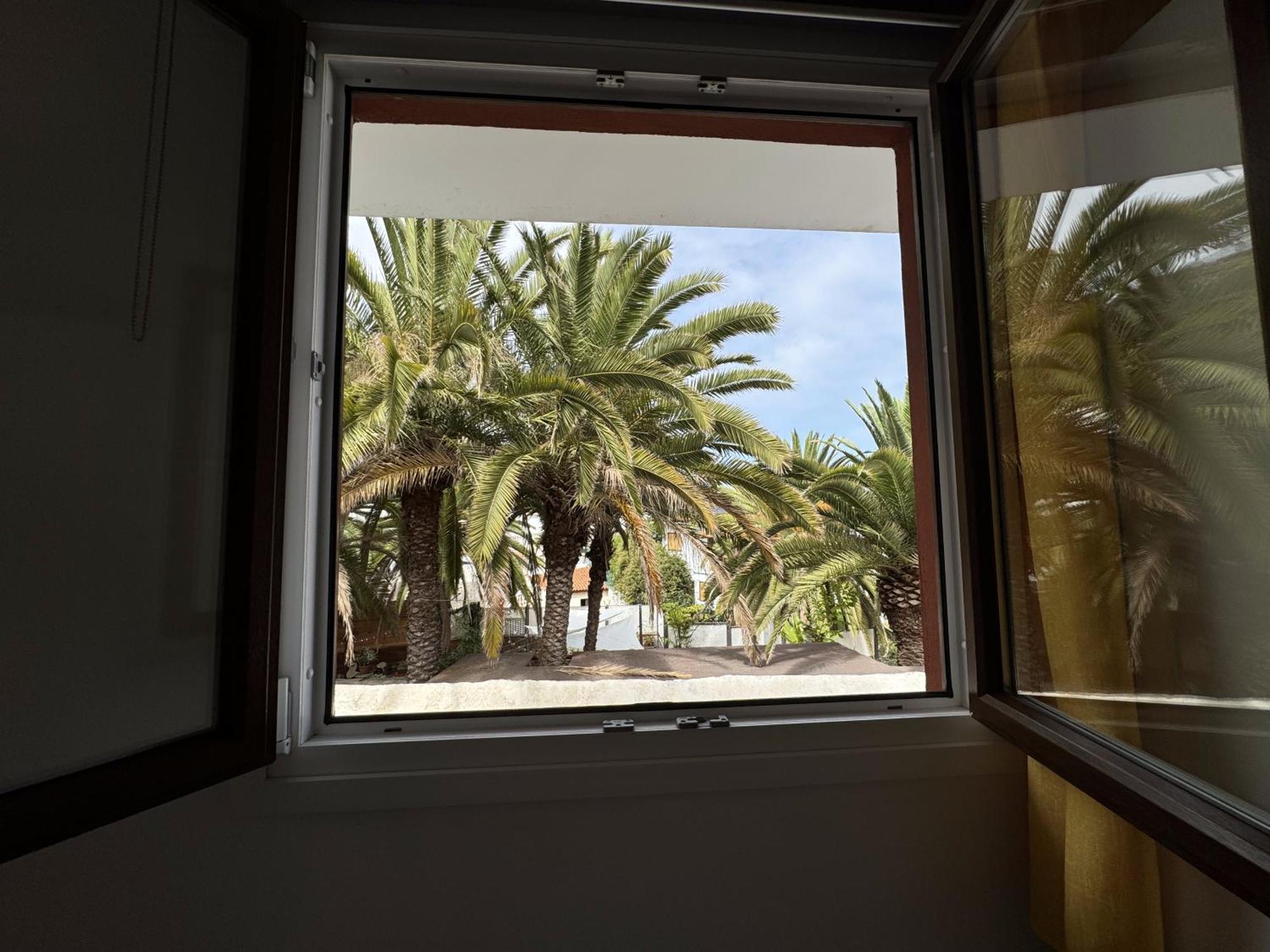 Phoenix Canariensis San Juan de la Rambla Extérieur photo